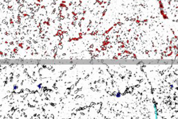 ПО SIAMS для автоматизированного металлографического анализа