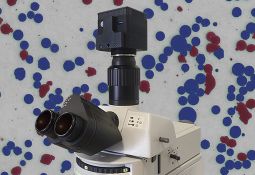 Оставить заявку на умную камеру  SIAMS