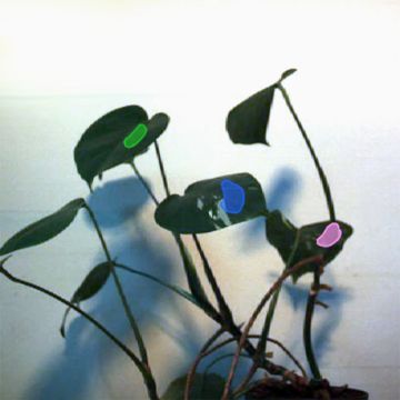 Гиперспектральный анализатор физиологического состояния растений SIAMS SpectroPlant