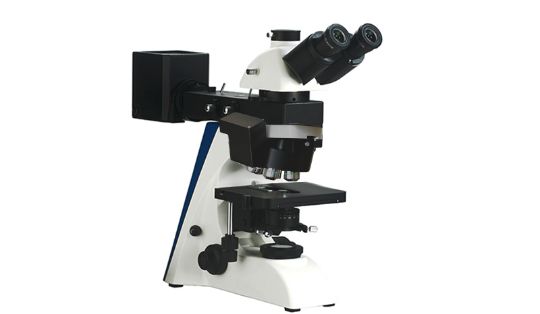 Прямой моторизованный микроскоп SIAMS AT-02TTR