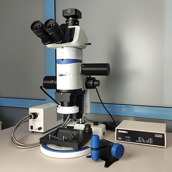 Моторизованный стереомикроскоп SZX12