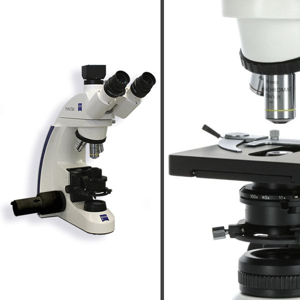Моторизованный микроскоп ZEISS Primo Star