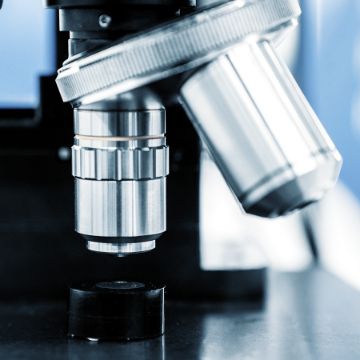 Оптические микроскопы