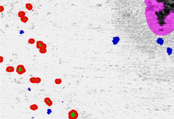 Программное обеспечение SIAMS для автоматизированного анализа газовой пористости