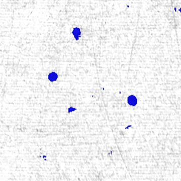 Анализатор ТЕМПЛЕТ С7