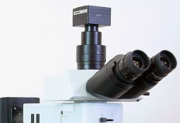 Узнать цену микроскопной цифровой камеры