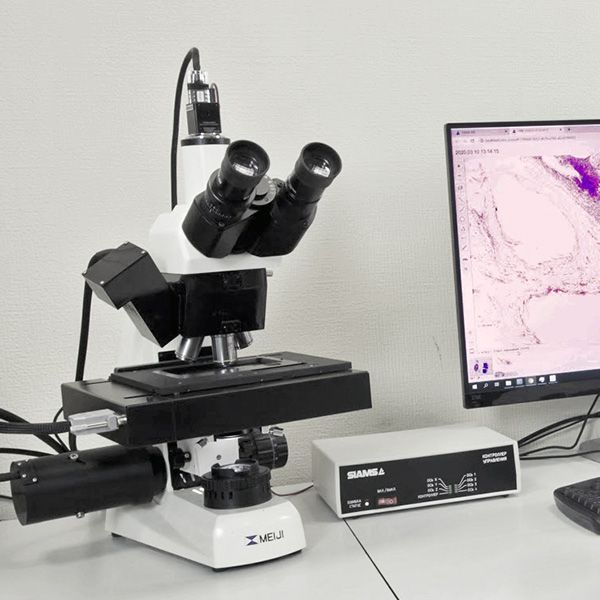 Моторизованный микроскоп Meiji Techno MT4300L