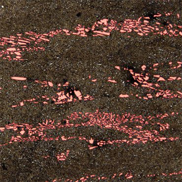 Анализ карбидной сетки с помощью нейромоделей SIAMS